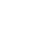 Kicks Flower