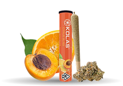 Kicks Cartridge