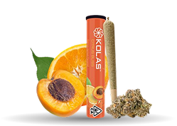 Skunk
