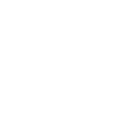 Kicks Flower