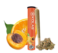 Skunk